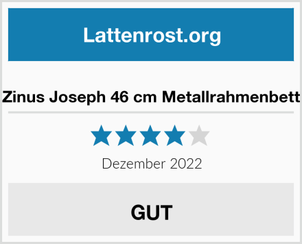  Zinus Joseph 46 cm Metallrahmenbett Test