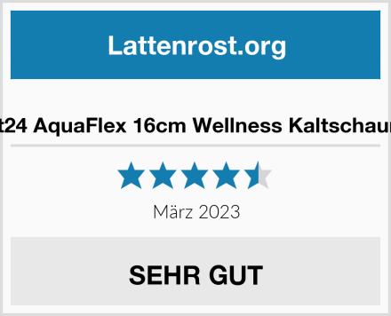  Träumegut24 AquaFlex 16cm Wellness Kaltschaummatratze Test