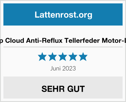  CubeSleep Cloud Anti-Reflux Tellerfeder Motor-Lattenrost Test