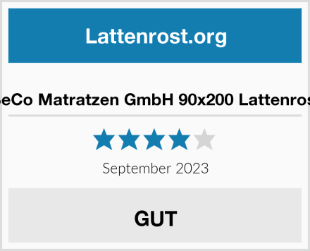  BeCo Matratzen GmbH 90x200 Lattenrost Test