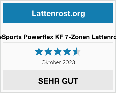  BeSports Powerflex KF 7-Zonen Lattenrost Test