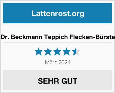 Dr. Beckmann Teppich Flecken-Bürste Test